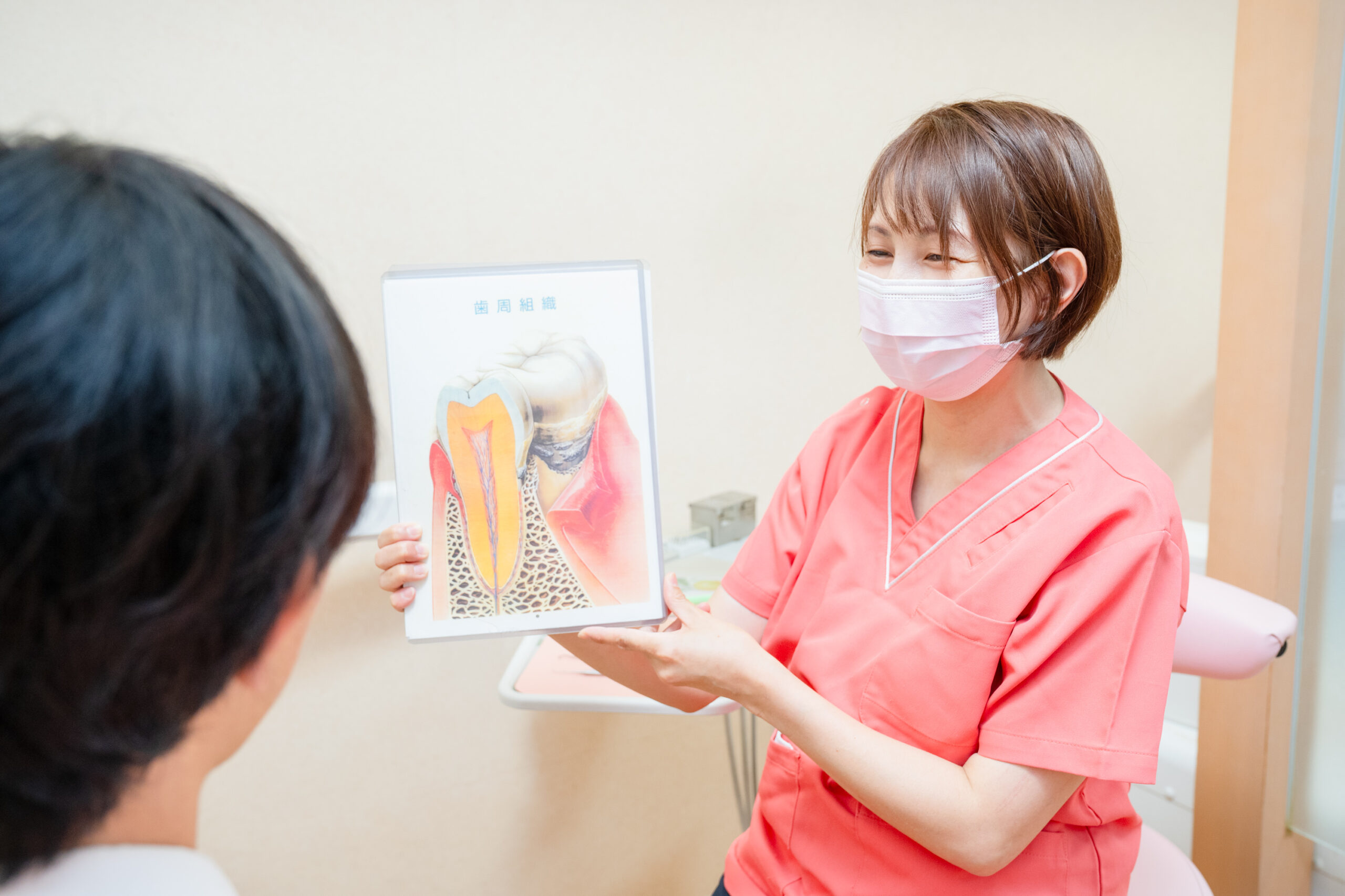 丁寧な説明とカウンセリング